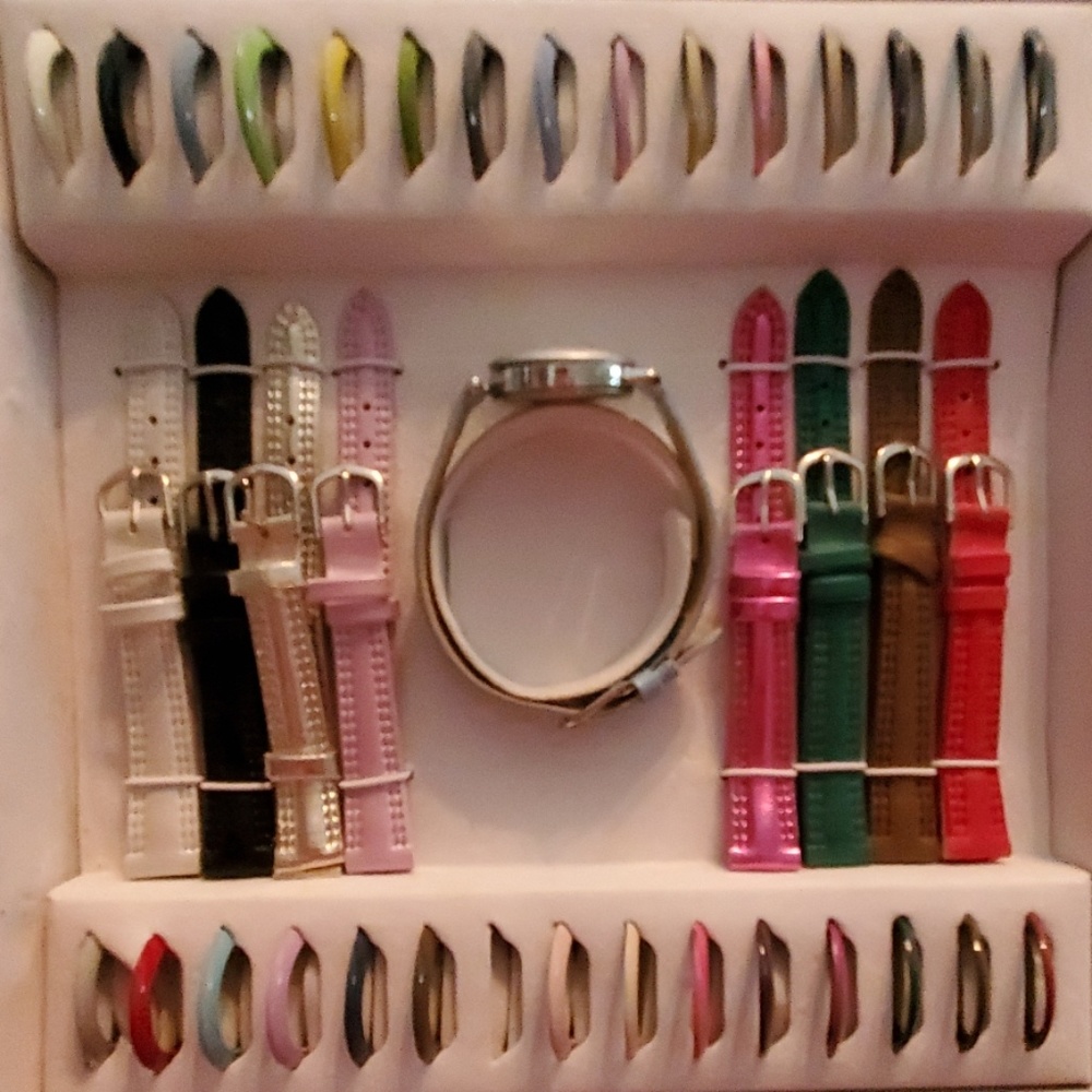 Band and face changing ladies watch